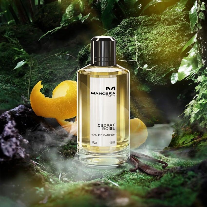 Mancera - Cedrat Boise EDP