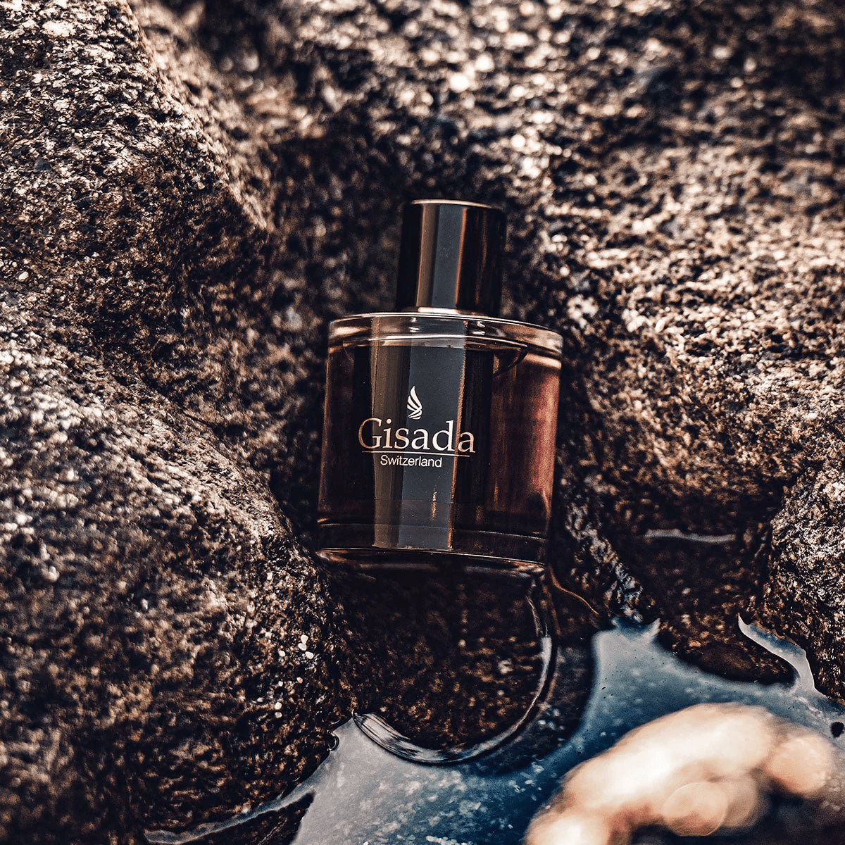 Decant Gisada - Ambassador Men - Pour Homme Chile