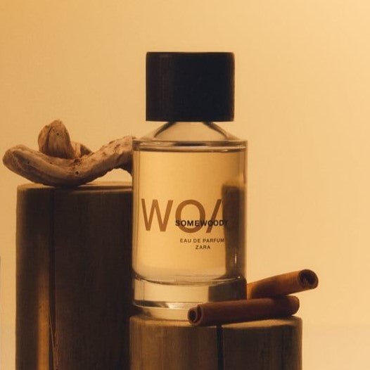 Decant Zara - WO/01 Somewoody - Pour Homme Chile